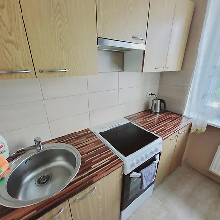 The Comfortable タリン